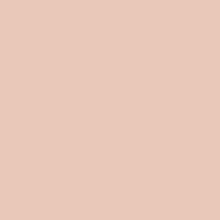 Color of #E9C8B9