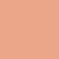 Color of #EBA589