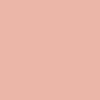 Color of #EBB6A7