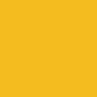 Color of #F4BC1F