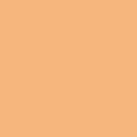 Color of #F6B67D