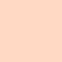 Color of #FED8C2