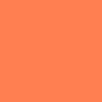 Color of #FF7F51