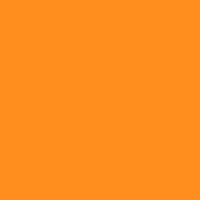 Color of #FF8E1E