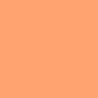 Color of #FFA470