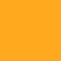 Color of #FFA91F