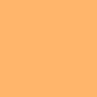 Color of #FFB56B