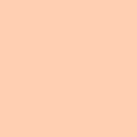 Color of #FFCFB2